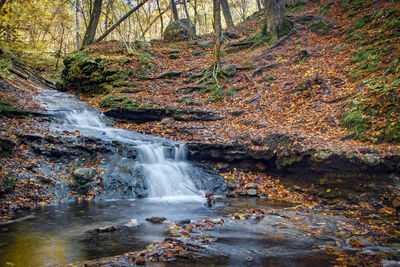 Waterfall in forest