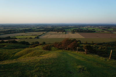 Scenic view of field against clear sky