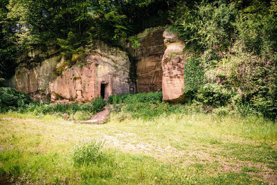 View of stone wall with trees in background