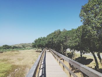 Trees on field against clear blue sky