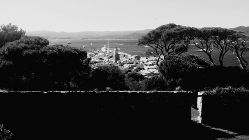 View of trees in town by sea