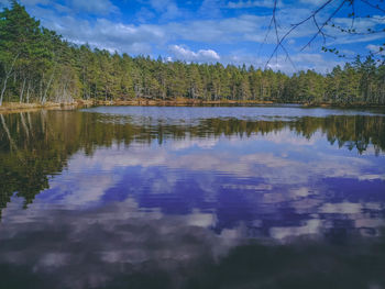 Reflection of trees in lake against sky