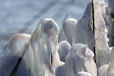 Close-up of frozen ice