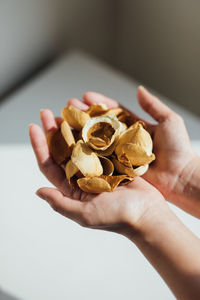 Close-up of person holding ice cream