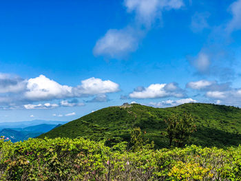 Scenic view of landscape against sky