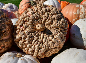 Close-up of vegetables for sale in market