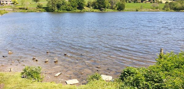 High angle view of lake amidst trees