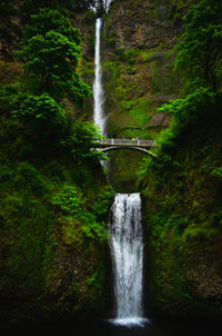 Scenic view of waterfall in forest