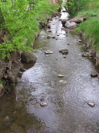 Scenic view of water