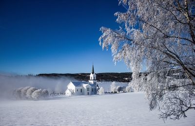 Building by frozen trees against blue sky during winter