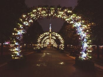 Illuminated christmas tree at night