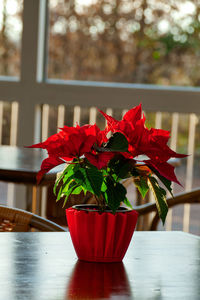 Close-up of red flower pot on table