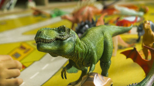 Close-up of hand holding a turtle