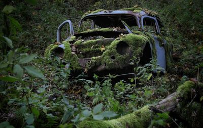 Abandoned car on field