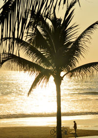 Silhouette palm tree by sea against sky at sunset