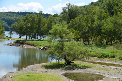 Scenic view of river against sky