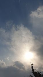 Low angle view of silhouette man against sky during sunset