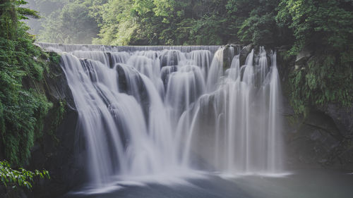 Low angle view of waterfall in forest