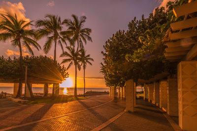 Scenic view of palm trees against sky during sunset