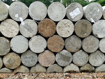 Full frame shot of logs in forest