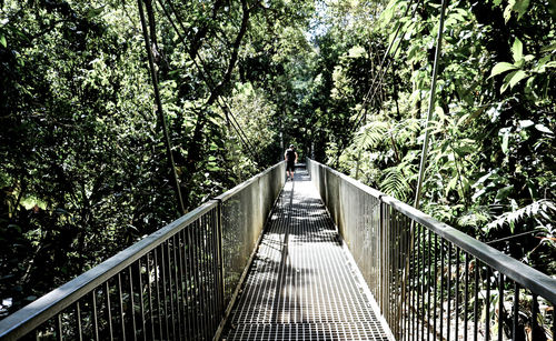 Footbridge in forest