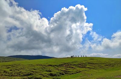 Scenic view of landscape against sky