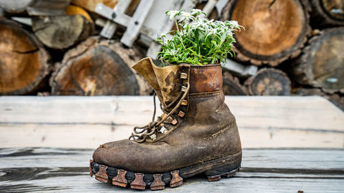 Close-up of shoes on wooden log