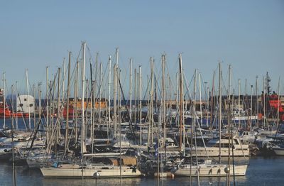 Sailboats moored in harbor against clear sky