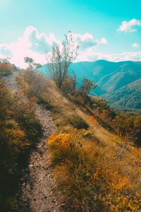 Scenic view of landscape against sky