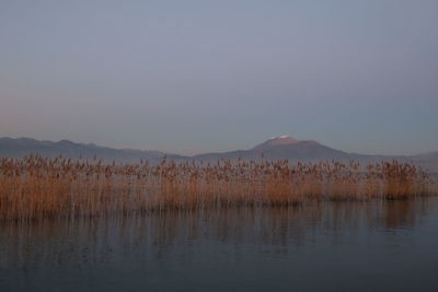 Scenic view of lake against clear sky