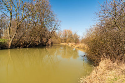 Scenic view of lake against clear sky