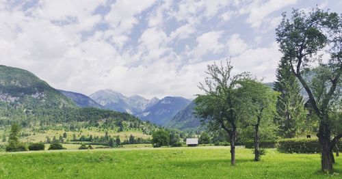 Scenic view of landscape and mountains against sky