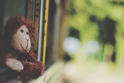 Close-up of monkey toy by window