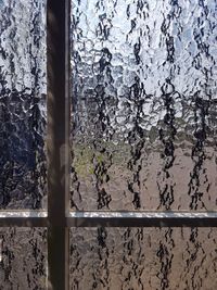 Reflection of trees on glass window