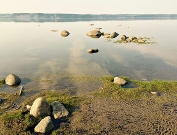 Reflection of rocks in water