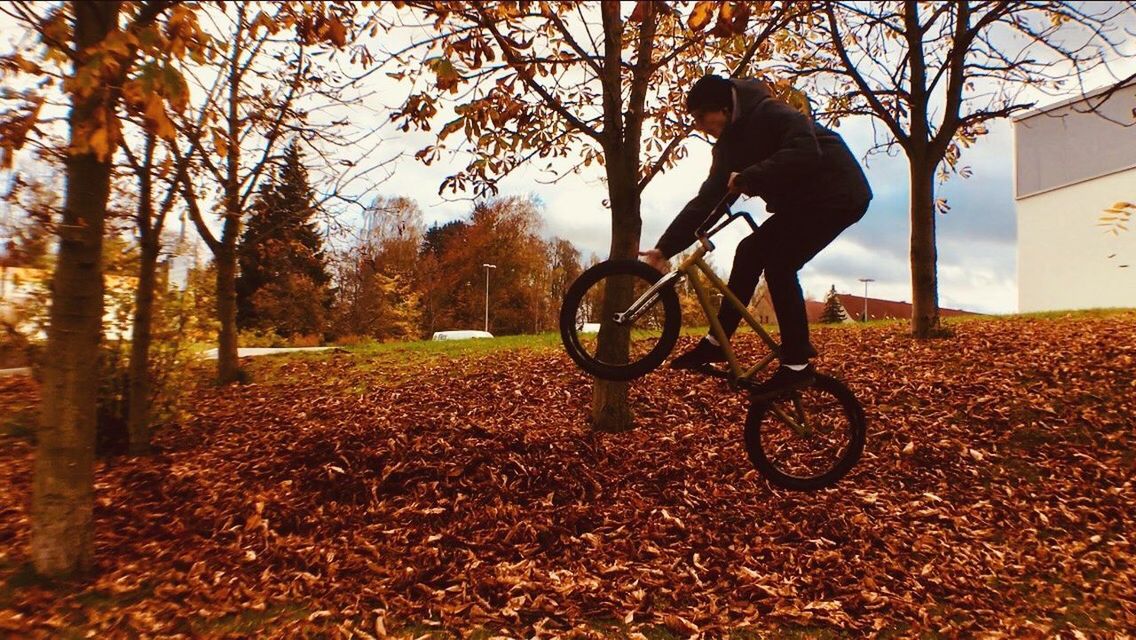 MAN RIDING BICYCLE ON FOREST