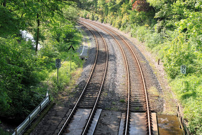 Railroad tracks amidst trees