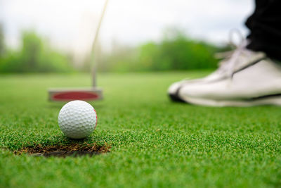 Low section of golf ball on grass