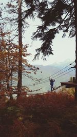 Scenic view of forest against sky