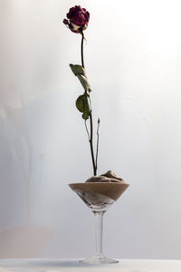 Close-up of vase on table
