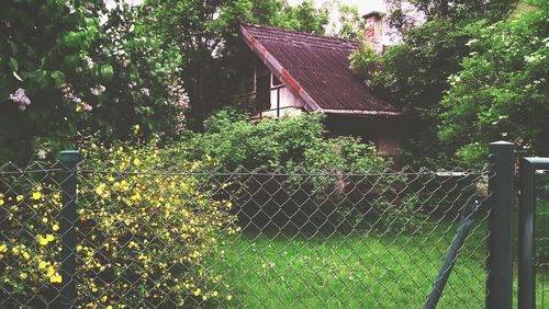 House with trees in background