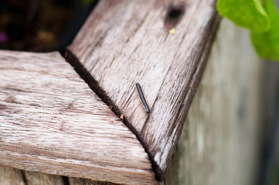 Close-up of wood on wooden table