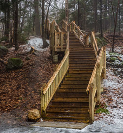 Staircase in forest