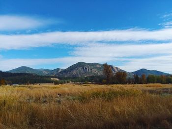 Scenic view of field against sky