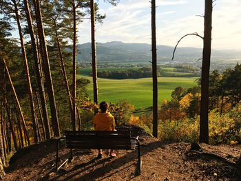 Rear view of man sitting on bench looking at view