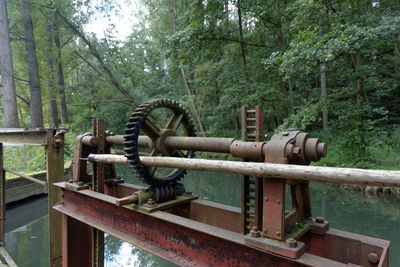 Rusty metal chain amidst trees in forest