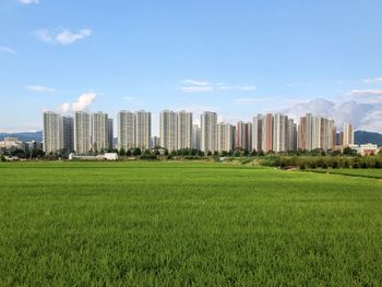 Buildings against sky in city