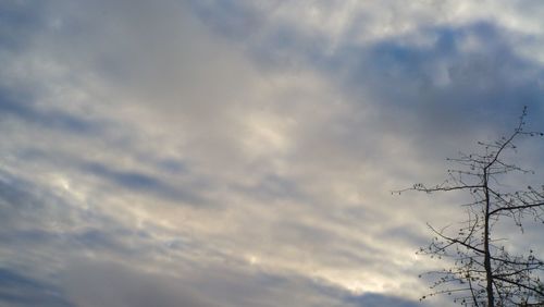 Low angle view of horse against sky