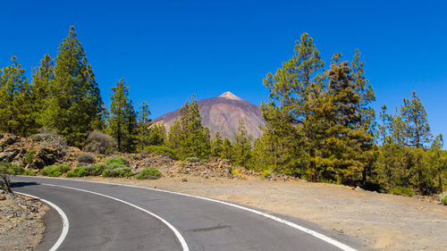 Trees growing by empty road against clear blue sky