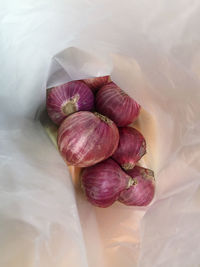 High angle view of fruits in container